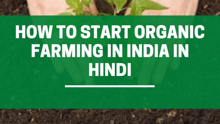 भारत में जैविक खेती शुरू कर लाखों रूपये कमायें| How to Start Organic Farming in india in Hindi